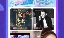 91直播只有语音吗,揭秘语音直播的独特魅力