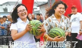 娱乐圈吃瓜吃不动,吃瓜疲劳，揭秘明星幕后真相